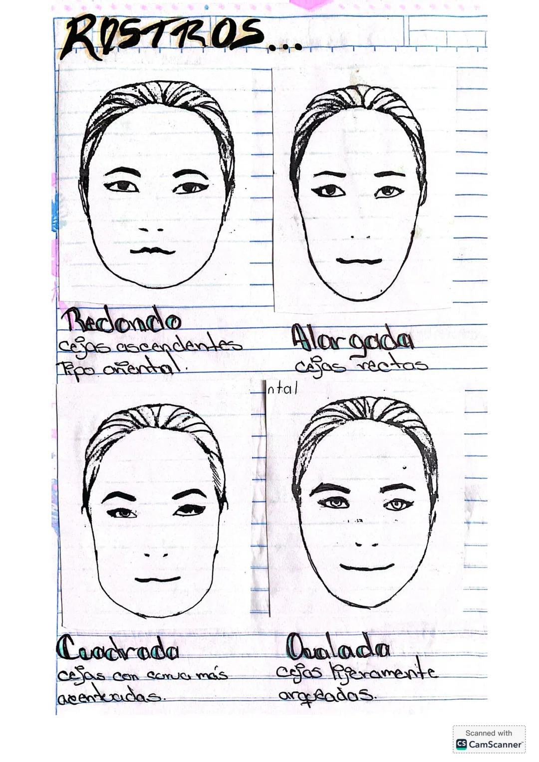 ROSTROS...
Redondo
cejas ascendentes
Tipo oriental.
Alargada
cejas rectas
Cuadrada
cejas con curva más
acentuadas.
Ovalada
cejas ligeramente