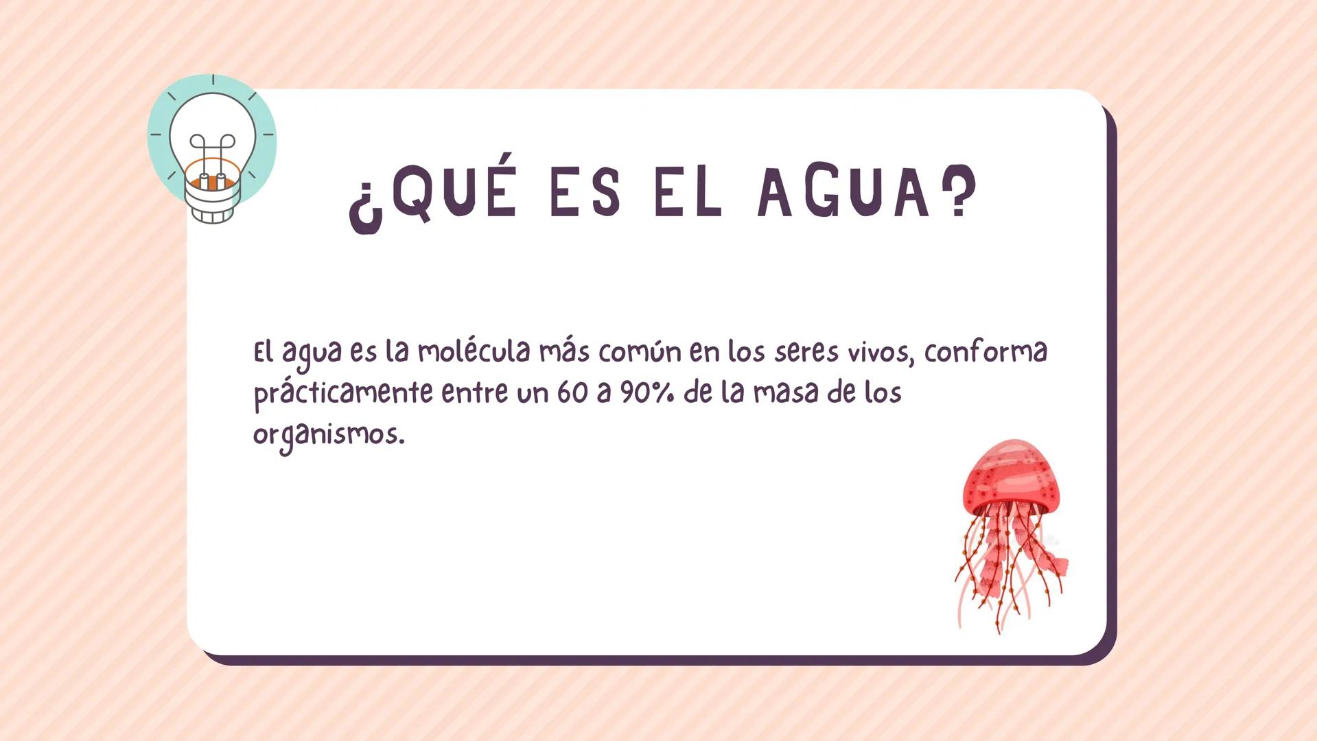 # BIOMOLÉCULAS
"EL AGUA"
BIOLOGíA INTRODUCCIÓN
A todos los compuestos químicos que
se encuentran en los seres vivos se les
conoce como bio