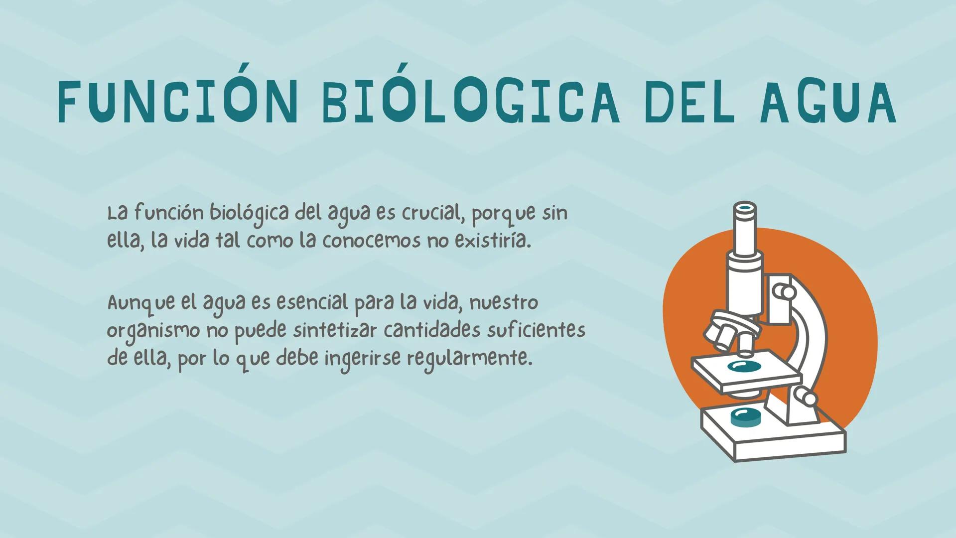 # BIOMOLÉCULAS
"EL AGUA"
BIOLOGíA INTRODUCCIÓN
A todos los compuestos químicos que
se encuentran en los seres vivos se les
conoce como bio