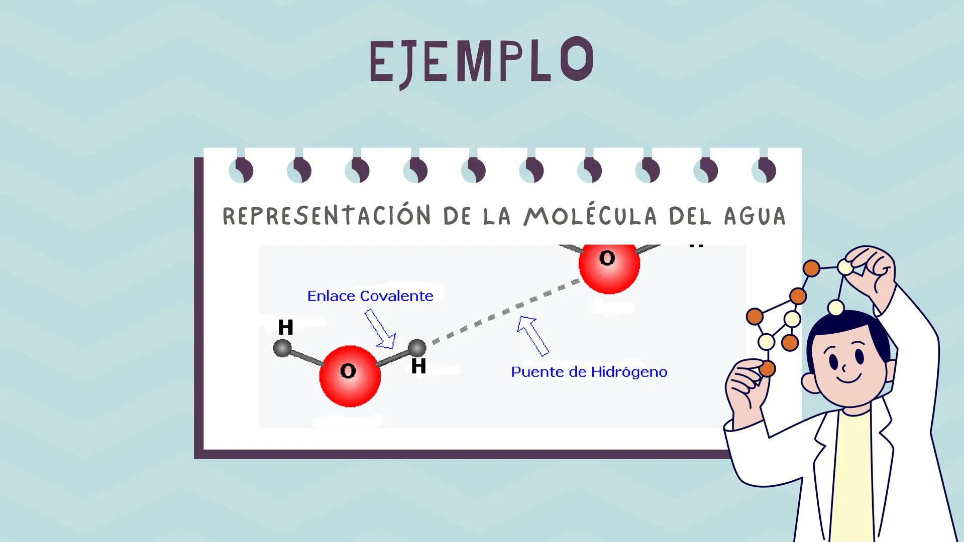 # BIOMOLÉCULAS
"EL AGUA"
BIOLOGíA INTRODUCCIÓN
A todos los compuestos químicos que
se encuentran en los seres vivos se les
conoce como bio