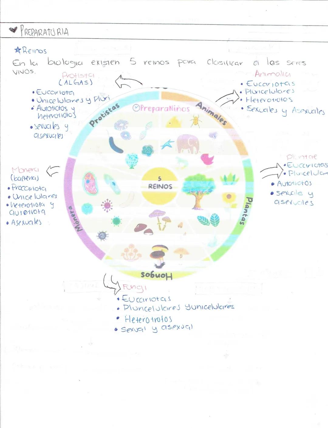 --- OCR Start ---
Ciencias Naturales
Biologia
Secundaria (Ciencias naturales)
★LA ADAPTACIÓN, EVOLUCIÓN.
¿Qué es la ciclaptrición? Caracterí