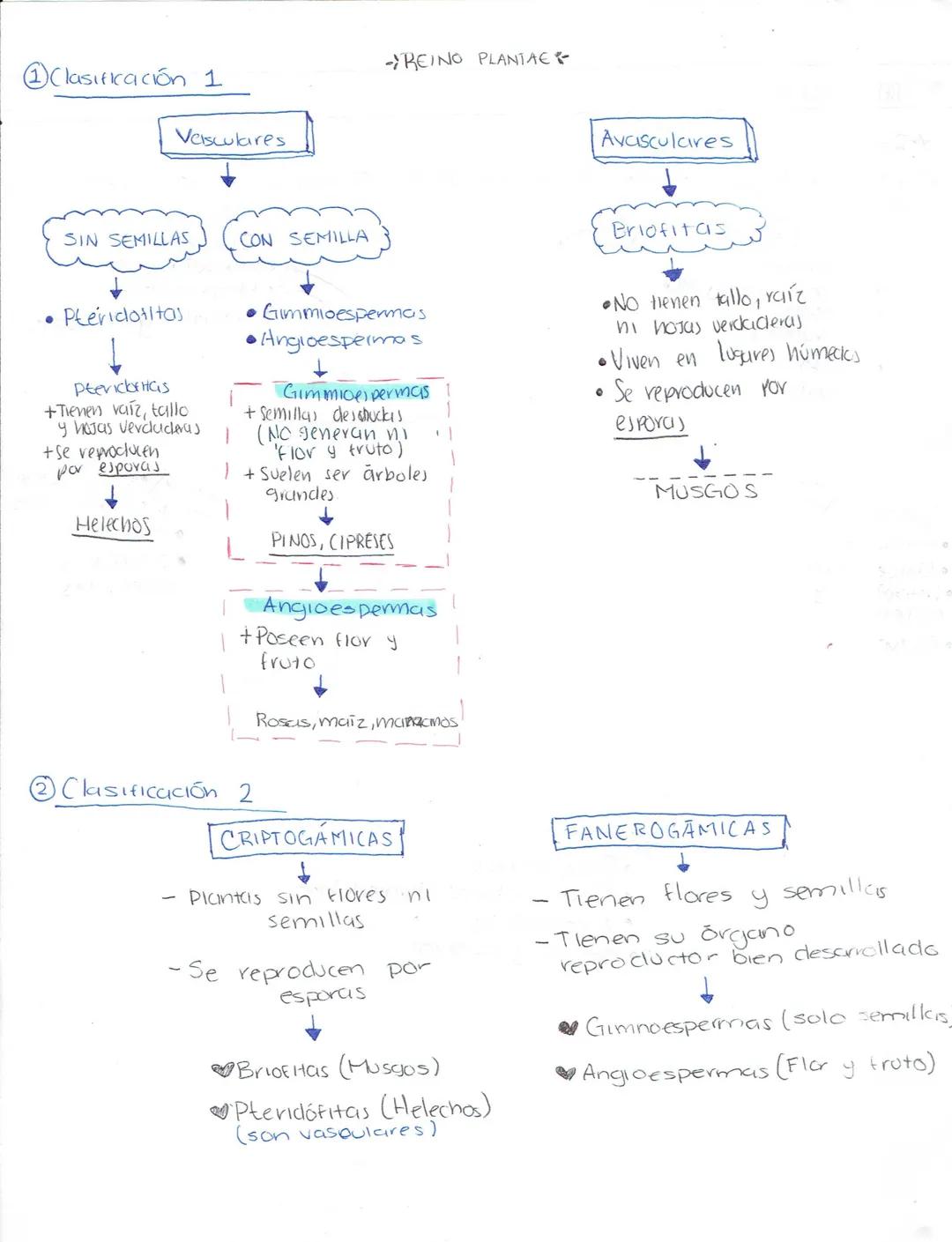 --- OCR Start ---
Ciencias Naturales
Biologia
Secundaria (Ciencias naturales)
★LA ADAPTACIÓN, EVOLUCIÓN.
¿Qué es la ciclaptrición? Caracterí