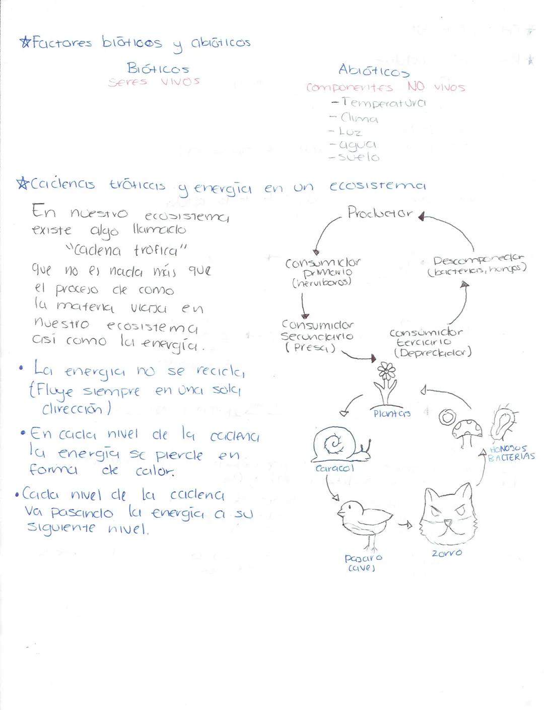--- OCR Start ---
Ciencias Naturales
Biologia
Secundaria (Ciencias naturales)
★LA ADAPTACIÓN, EVOLUCIÓN.
¿Qué es la ciclaptrición? Caracterí