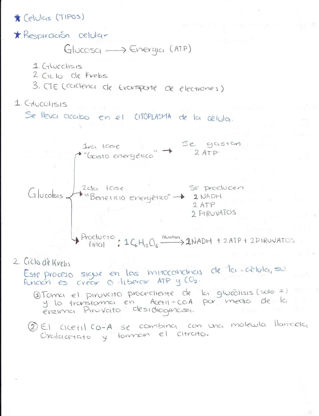 --- OCR Start ---
Ciencias Naturales
Biologia
Secundaria (Ciencias naturales)
★LA ADAPTACIÓN, EVOLUCIÓN.
¿Qué es la ciclaptrición? Caracterí