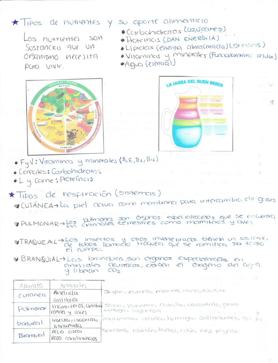 --- OCR Start ---
Ciencias Naturales
Biologia
Secundaria (Ciencias naturales)
★LA ADAPTACIÓN, EVOLUCIÓN.
¿Qué es la ciclaptrición? Caracterí