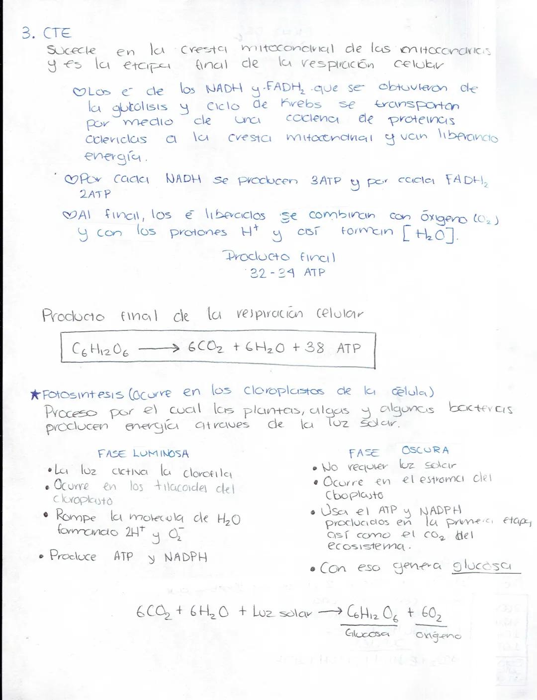 --- OCR Start ---
Ciencias Naturales
Biologia
Secundaria (Ciencias naturales)
★LA ADAPTACIÓN, EVOLUCIÓN.
¿Qué es la ciclaptrición? Caracterí