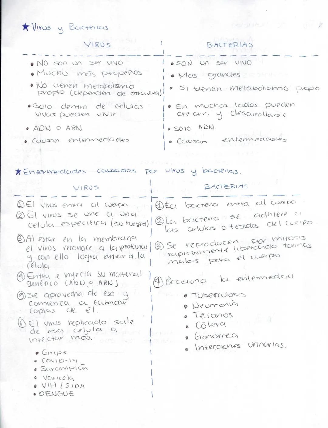 --- OCR Start ---
Ciencias Naturales
Biologia
Secundaria (Ciencias naturales)
★LA ADAPTACIÓN, EVOLUCIÓN.
¿Qué es la ciclaptrición? Caracterí