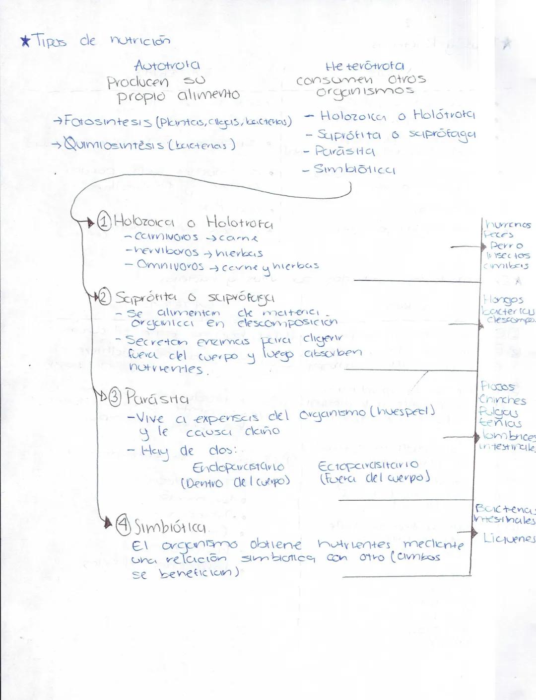 --- OCR Start ---
Ciencias Naturales
Biologia
Secundaria (Ciencias naturales)
★LA ADAPTACIÓN, EVOLUCIÓN.
¿Qué es la ciclaptrición? Caracterí