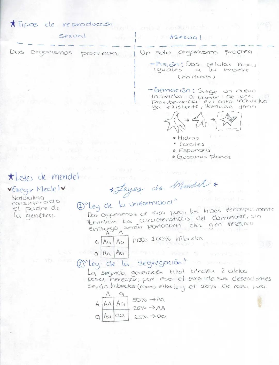 --- OCR Start ---
Ciencias Naturales
Biologia
Secundaria (Ciencias naturales)
★LA ADAPTACIÓN, EVOLUCIÓN.
¿Qué es la ciclaptrición? Caracterí