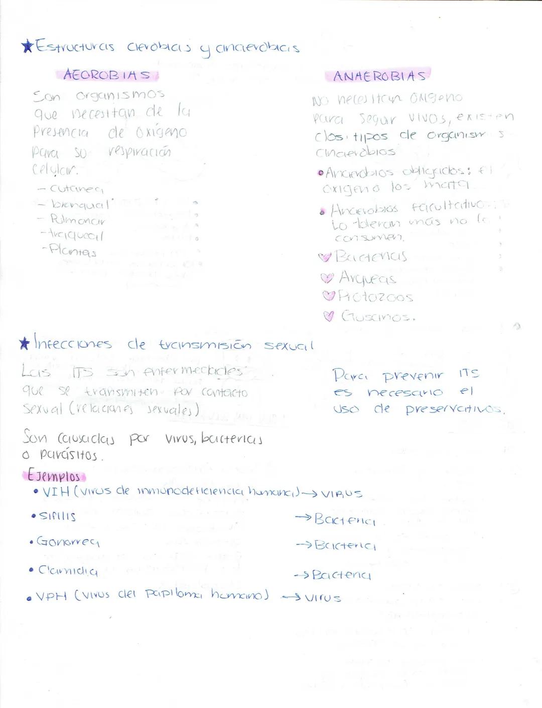 --- OCR Start ---
Ciencias Naturales
Biologia
Secundaria (Ciencias naturales)
★LA ADAPTACIÓN, EVOLUCIÓN.
¿Qué es la ciclaptrición? Caracterí
