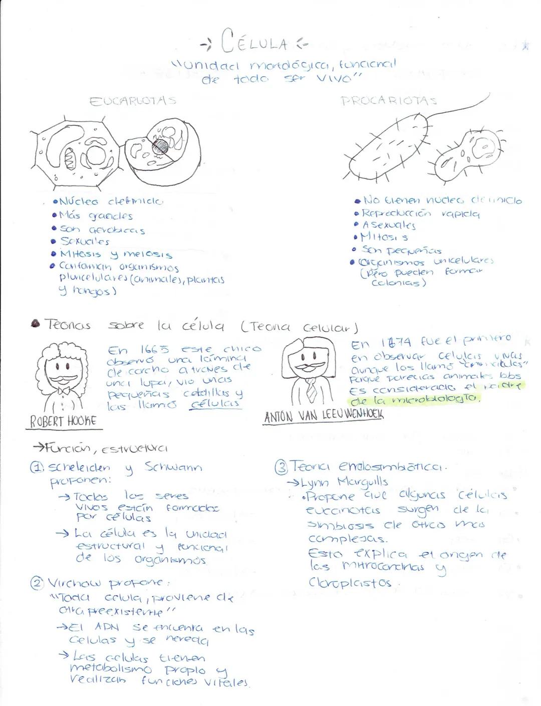 --- OCR Start ---
Ciencias Naturales
Biologia
Secundaria (Ciencias naturales)
★LA ADAPTACIÓN, EVOLUCIÓN.
¿Qué es la ciclaptrición? Caracterí