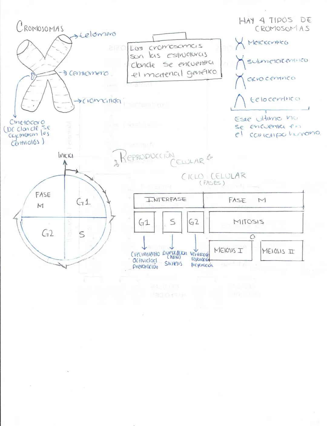 --- OCR Start ---
Ciencias Naturales
Biologia
Secundaria (Ciencias naturales)
★LA ADAPTACIÓN, EVOLUCIÓN.
¿Qué es la ciclaptrición? Caracterí