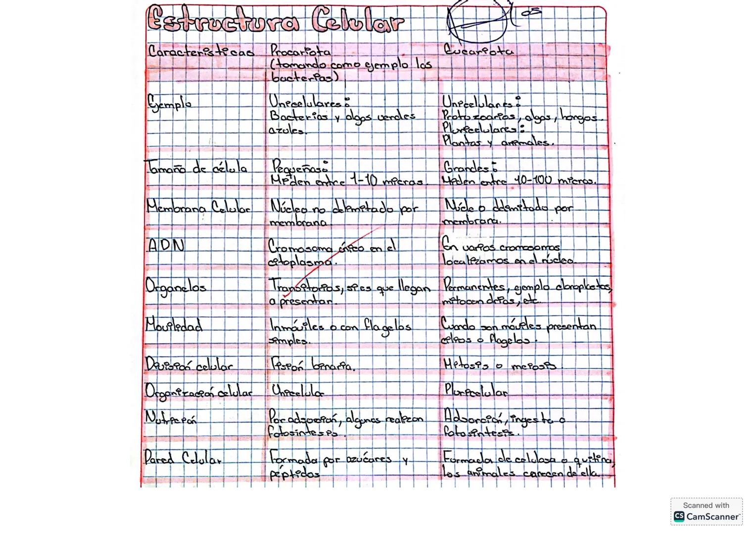 --- OCR Start ---
Estructura Celular
Caracteristicas Procariota
Ejemplo
(tomando como ejemplo las
bacterpas)
Unecelulares:
Bacterias y algos