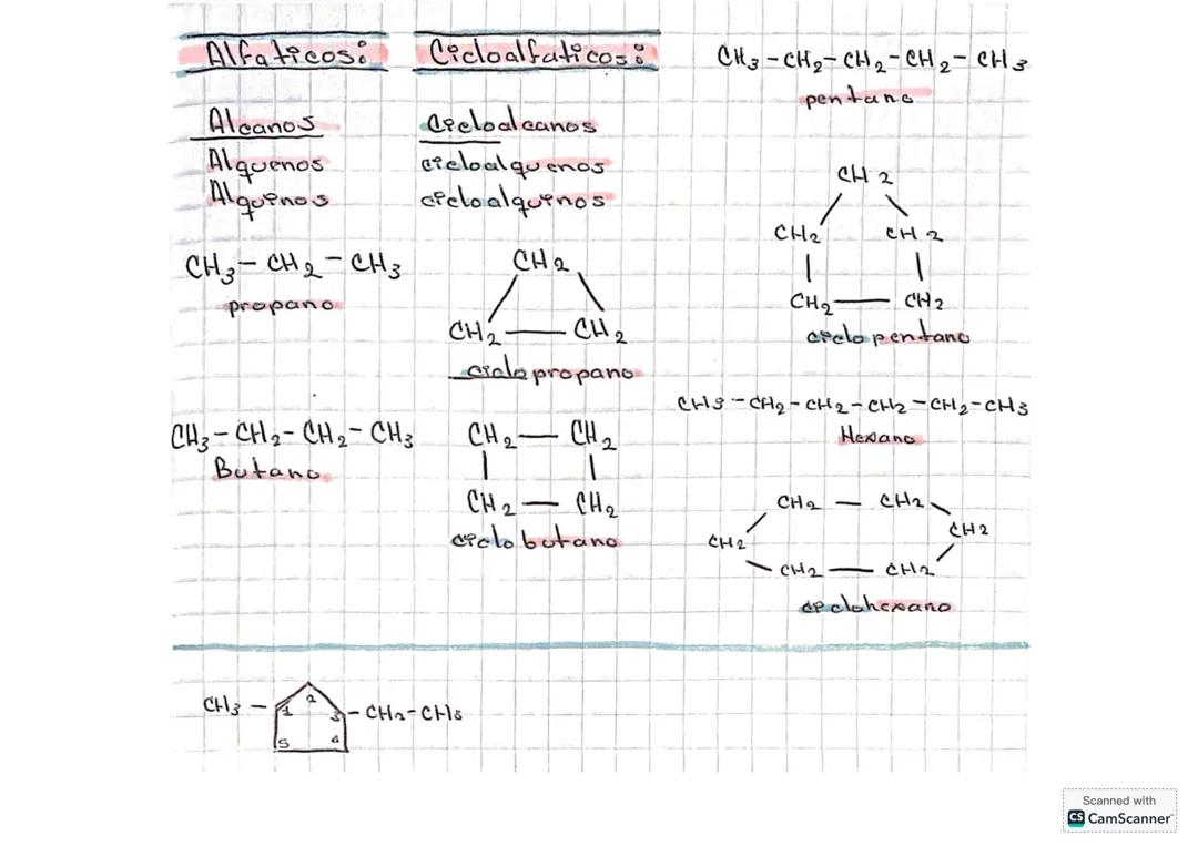 Todo sobre Hidrocarburos: Alcanos, Alquenos y Cicloalcanos