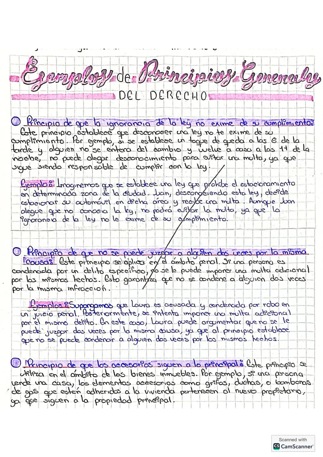 --- OCR Start ---
Principios Generaley del
DERECHO
Los Principios Generales del Derecho en materia Jurídica son una ideología
directiva, raz