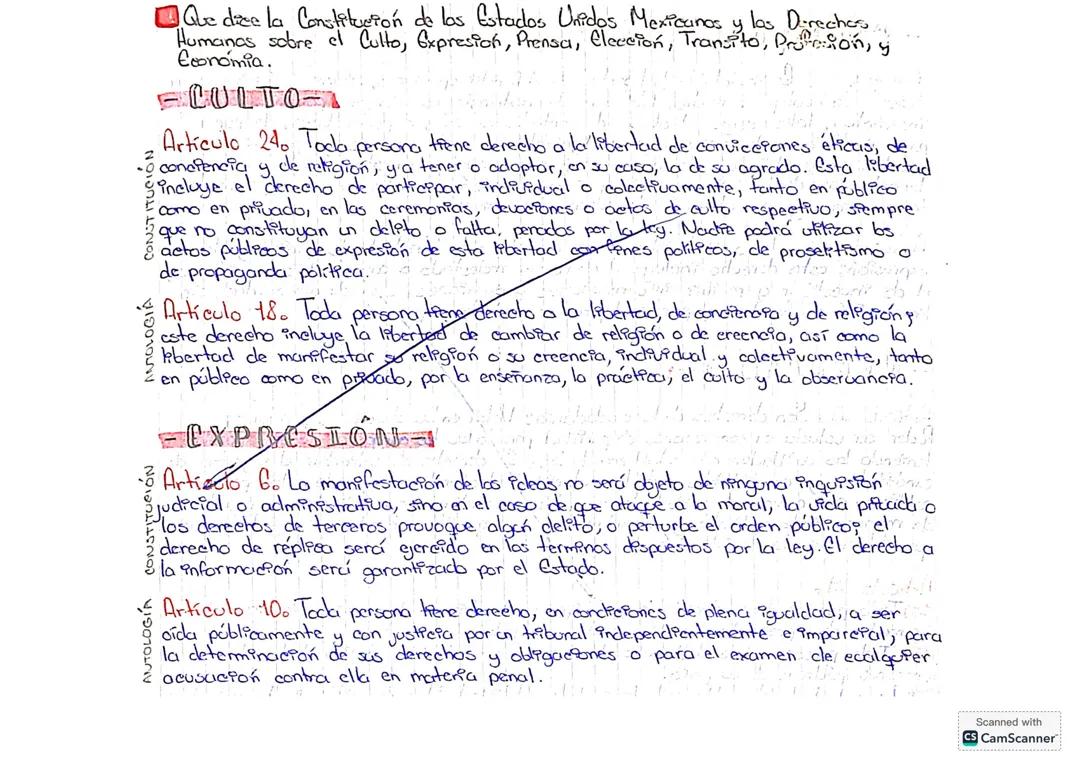 Investigación- Derechos Constitucionales: Culto, Expresión, Voto, Tránsito, Trabajo y Economía