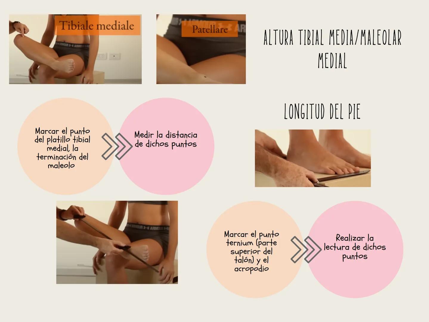 ESTANDARIZACIÓN
ANTROPOMÉTRICA
Es un proceso clave en la medición de las dimensiones físicas del cuerpo humano,
diseñado para garantizar la