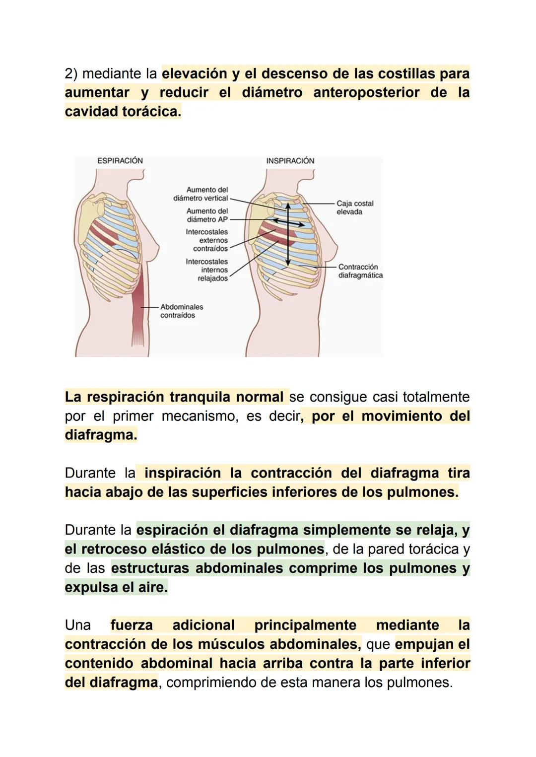 FISIOLOGIA PULMONAR
VENTILACIÓN PULMONAR- capítulo 38
Las funciones principales de la respiración son proporcionar
oxígeno a los tejidos y r