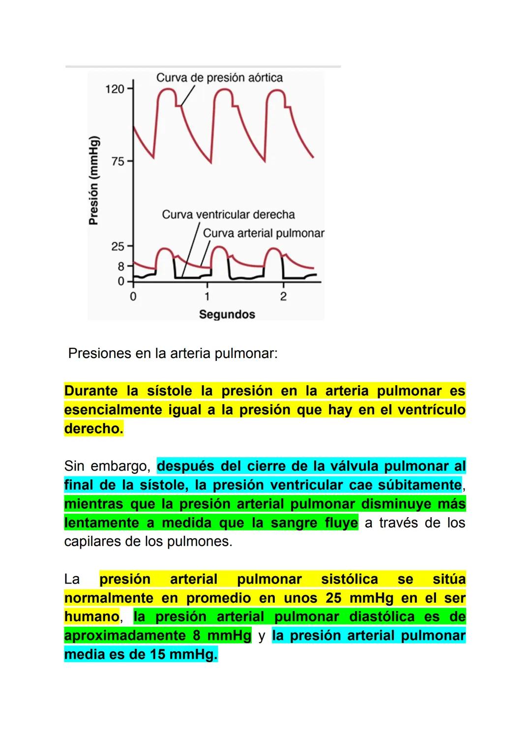 FISIOLOGIA PULMONAR
VENTILACIÓN PULMONAR- capítulo 38
Las funciones principales de la respiración son proporcionar
oxígeno a los tejidos y r
