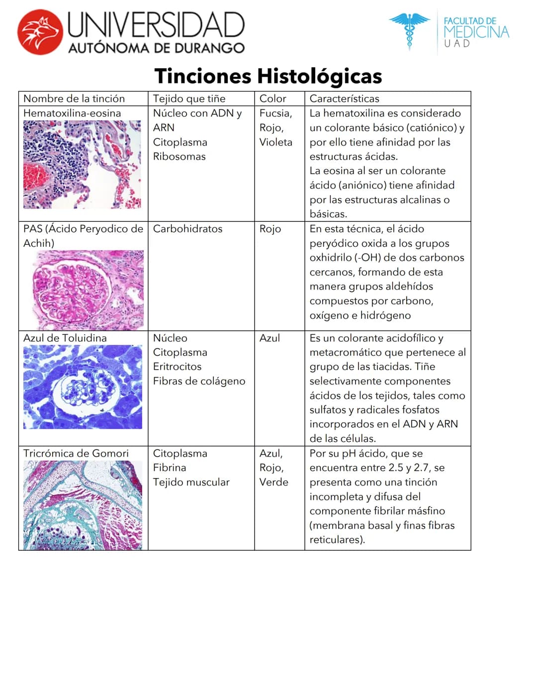 --- OCR Start ---
UNIVERSIDAD
AUTÓNOMA DE DURANGO
Nombre de la tinción
Hematoxilina-eosina
Tinciones Histológicas
Color
Tejido que tiñe
Núcl
