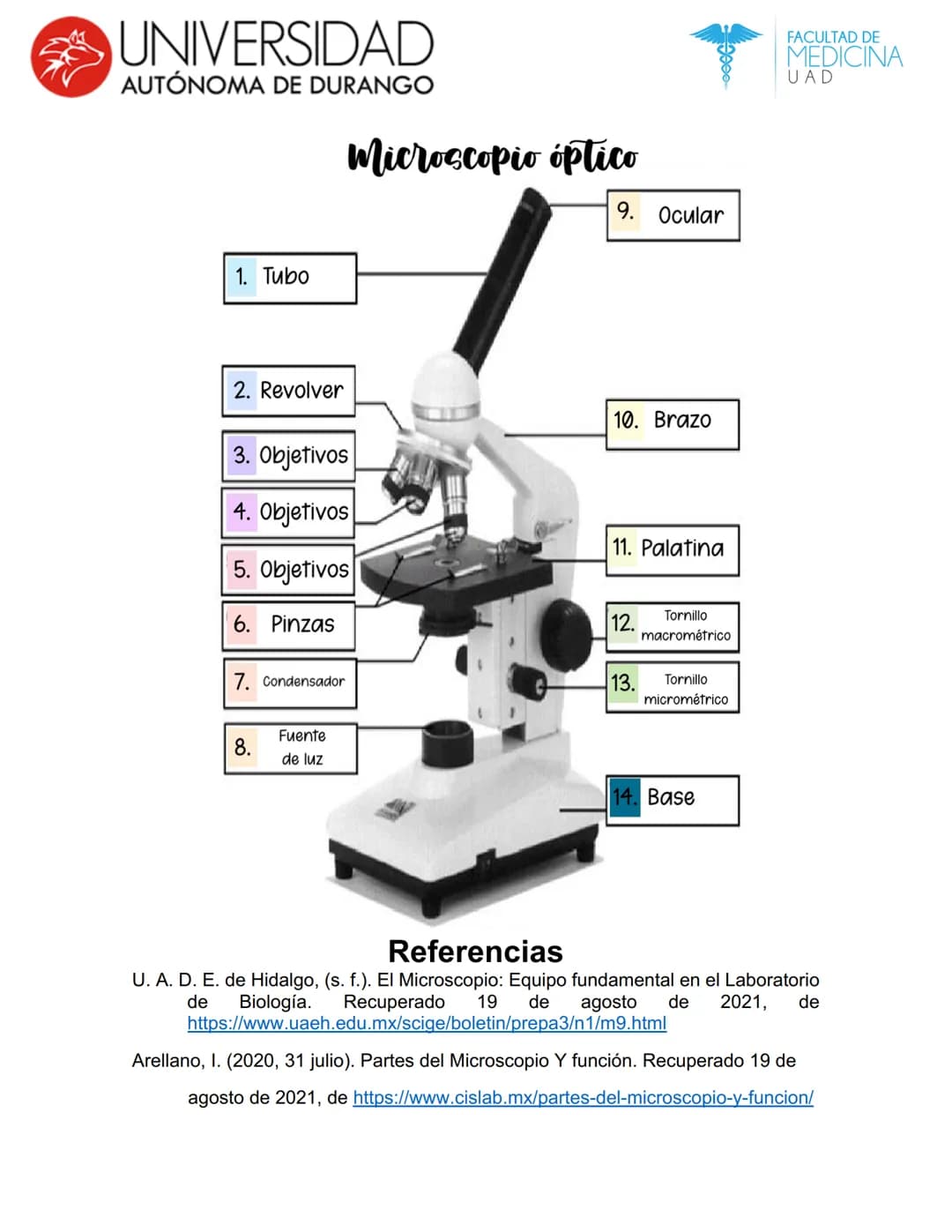 UNIVERSIDAD
AUTÓNOMA DE DURANGO
Microscopio
FACULTAD DE
MEDICINA
UAD
Es un vocablo que proviene del griego micro, que significa pequeño, y s
