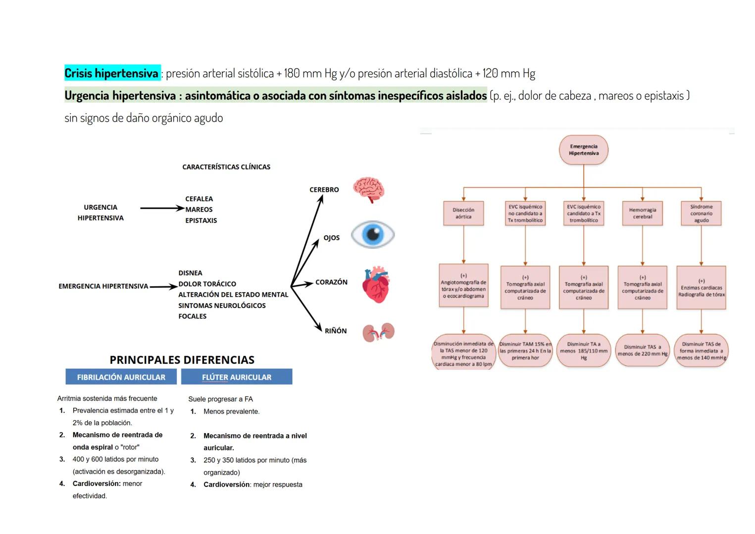 SEGUNDO PARCIAL
TEMA1: URGENCIAS CARDIOVASCULARES
Arritmia sinusal: Se caracteriza por que los intervalos PP que no contienen un complejo QR