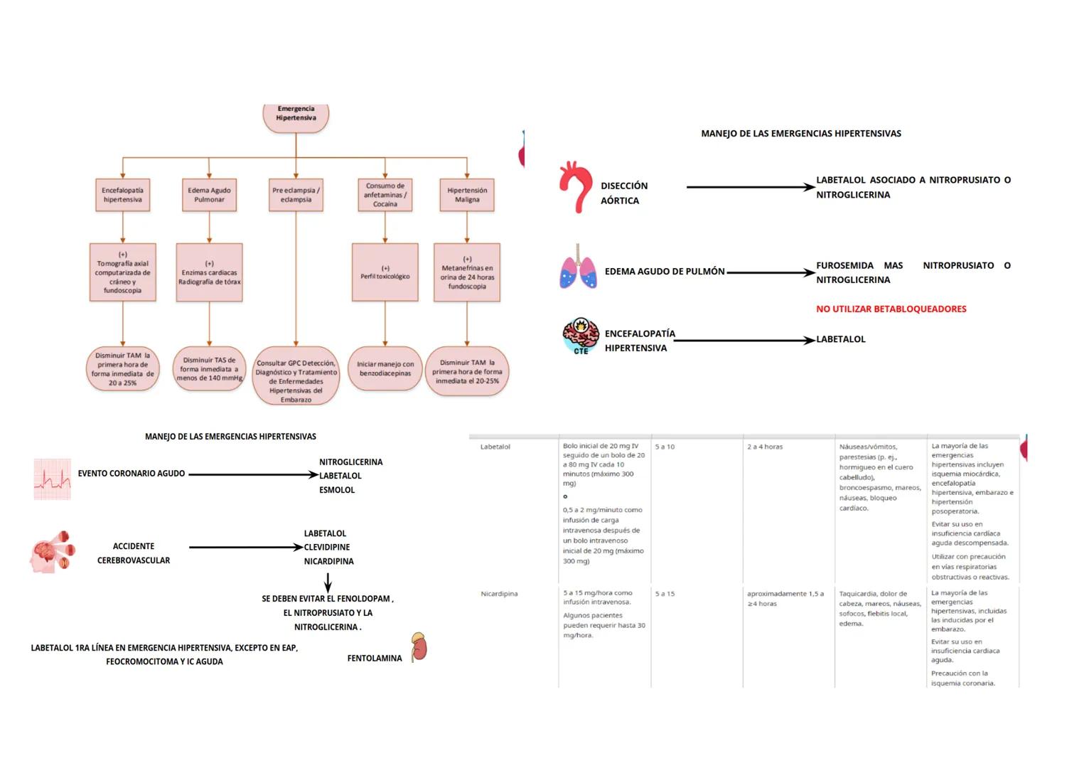 SEGUNDO PARCIAL
TEMA1: URGENCIAS CARDIOVASCULARES
Arritmia sinusal: Se caracteriza por que los intervalos PP que no contienen un complejo QR