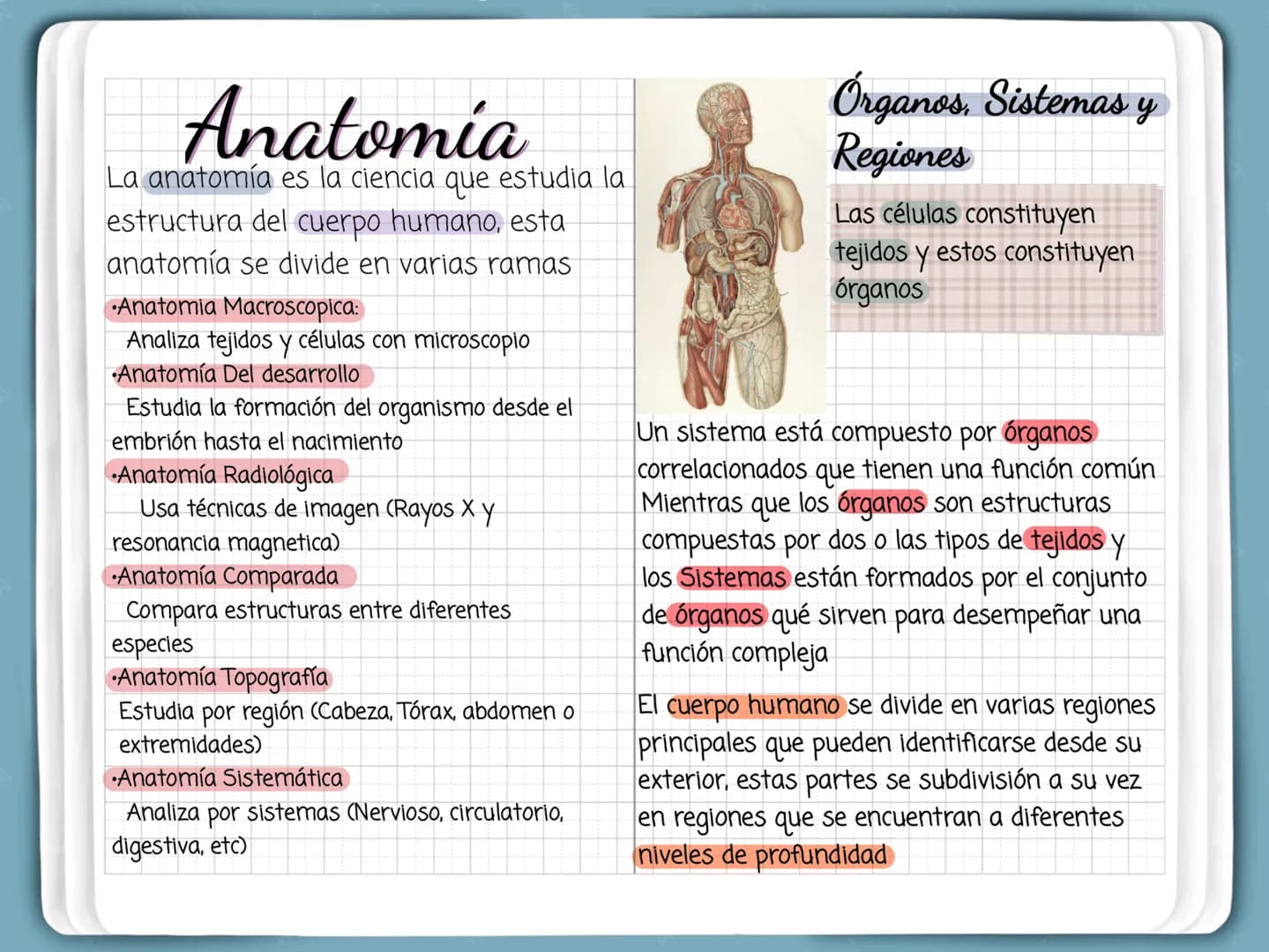 Anatomía
La anatomía es la ciencia que estudia la
estructura del cuerpo humano, esta
anatomía se divide en varias ramas
•Anatomia Macroscopi