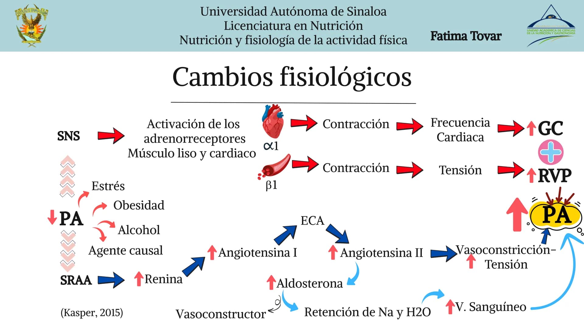 UNIDAD ACADEMICA DE CIENCIAS
DE LA NUTRICIÓN Y GASTRONOMÍA
Fatima Tovar
Universidad Autónoma de Sinaloa
Licenciatura en Nutrición
Nutrición