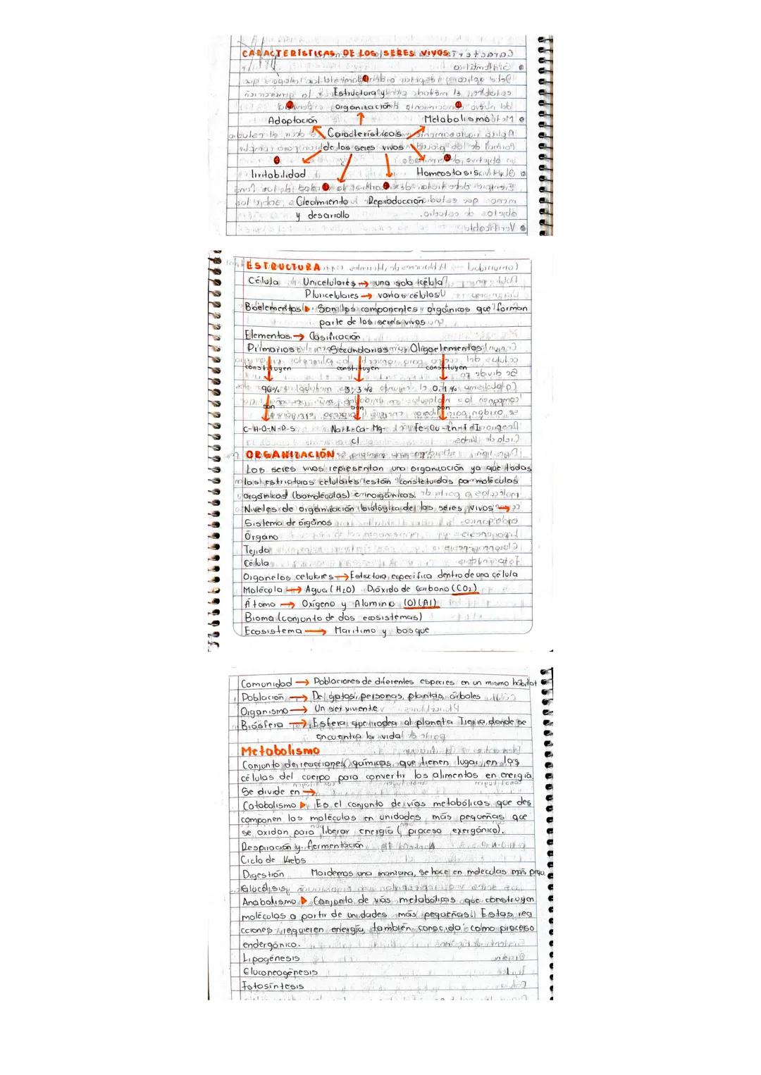 CARACTERISTICAS DE LOS SERES VIVOS
Estudio y características de los seres vivos
Adaptación
Organización
Metabolismo
Características
de los s