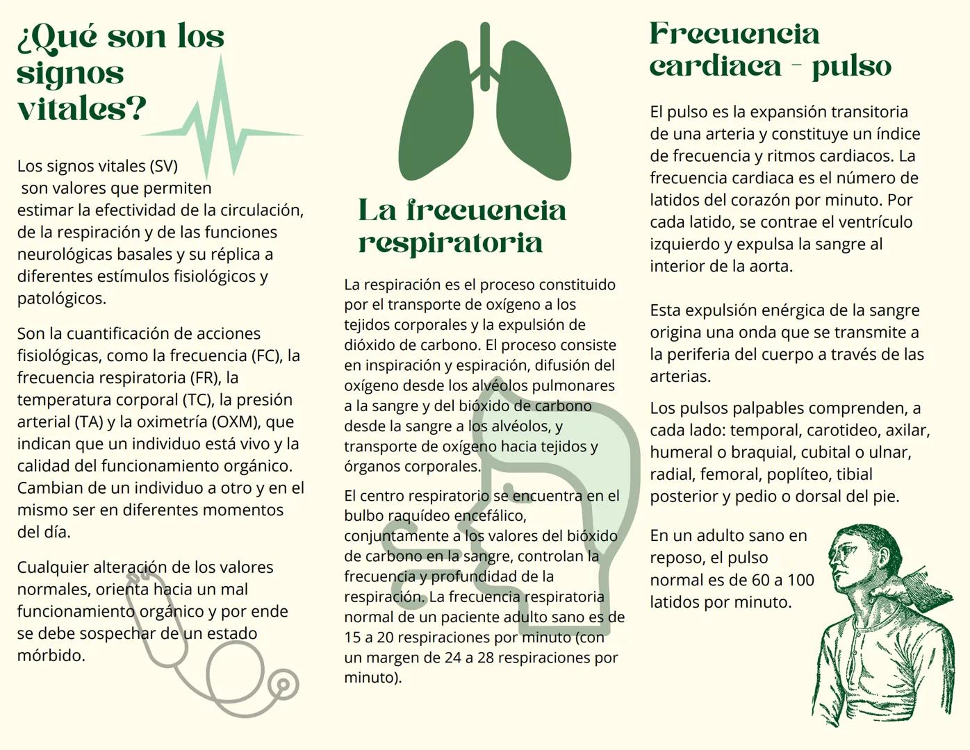 # ¿Qué son los signos vitales?
Los signos vitales (SV) son valores que permiten estimar la efectividad de la circulación, de la respiración