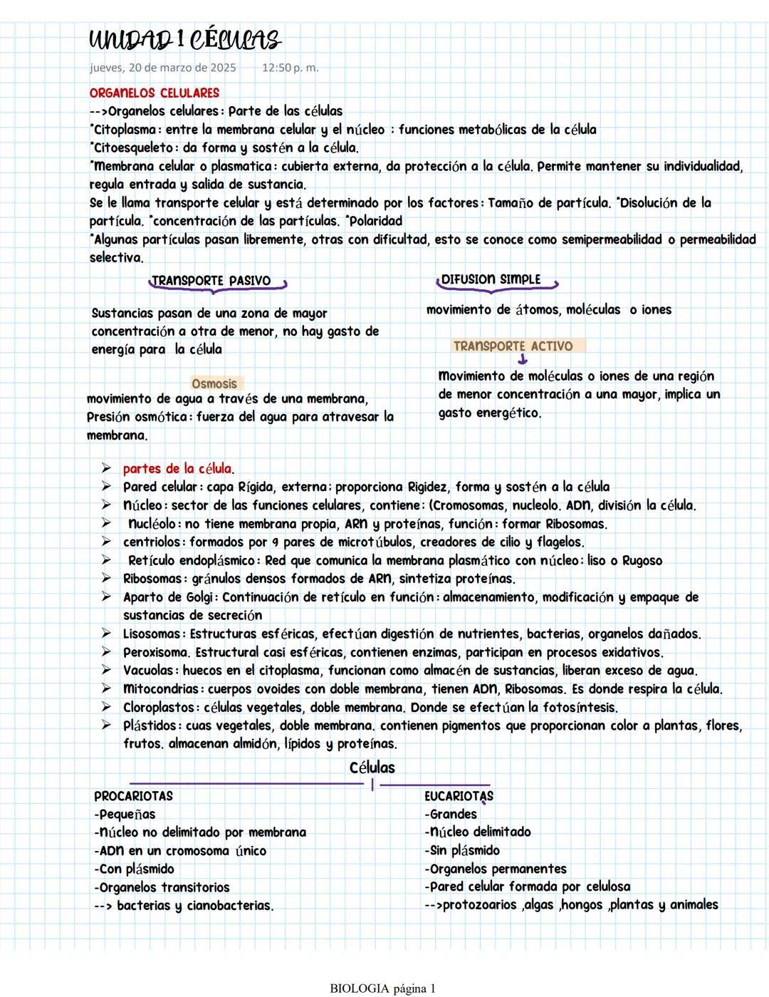 UNIDAD I CÉLULAS
jueves, 20 de marzo de 2025
ORGANELOS CELULARES
12:50 p. m.
-->Organelos celulares: Parte de las células
"Citoplasma: entre