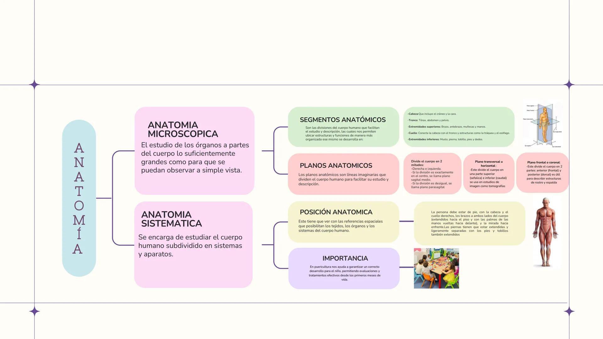 # UN VISTAZO AL
# INTERIOR
2-AMPU Índice
1
Anatomía
1
2
Fisiología
• Segmentos anatómicos
• Posición anatómica
• Planos anatómicos • Impor
