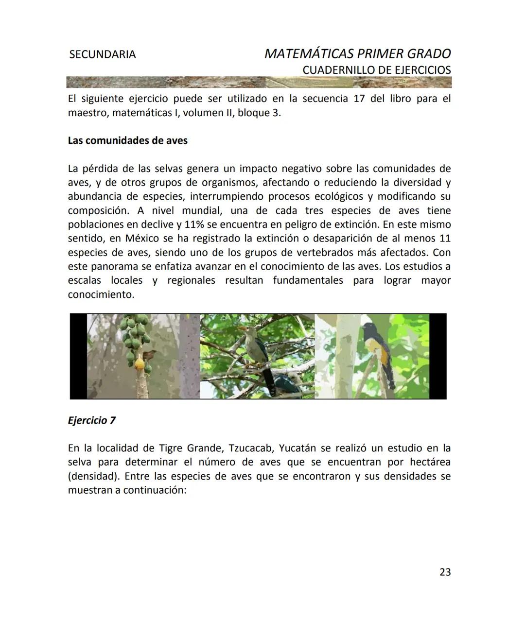 CUADERNILLO DE EJERCICIOS
DE MATEMÁTICAS
PARA SECUNDARIA
MILLSAPS
PN
Kaxil KiulcA.C. COLLEGE UD
Reserva Biocultural
Mexico
SGP
El Programa d