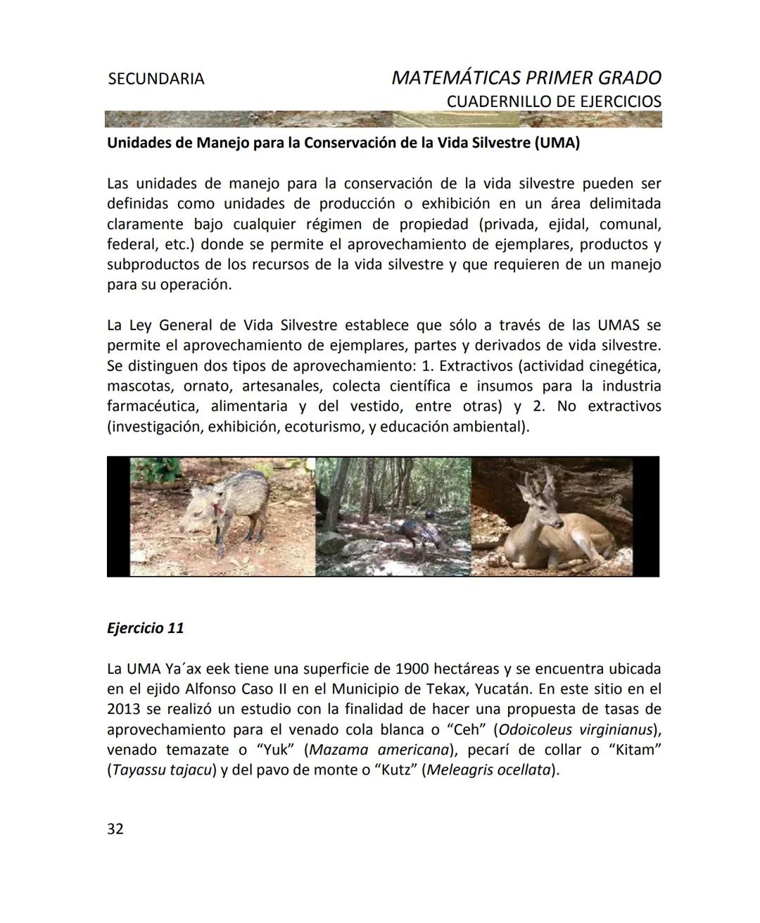 CUADERNILLO DE EJERCICIOS
DE MATEMÁTICAS
PARA SECUNDARIA
MILLSAPS
PN
Kaxil KiulcA.C. COLLEGE UD
Reserva Biocultural
Mexico
SGP
El Programa d