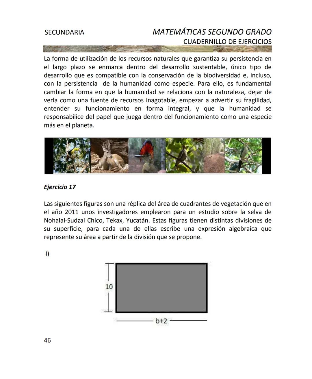 CUADERNILLO DE EJERCICIOS
DE MATEMÁTICAS
PARA SECUNDARIA
MILLSAPS
PN
Kaxil KiulcA.C. COLLEGE UD
Reserva Biocultural
Mexico
SGP
El Programa d
