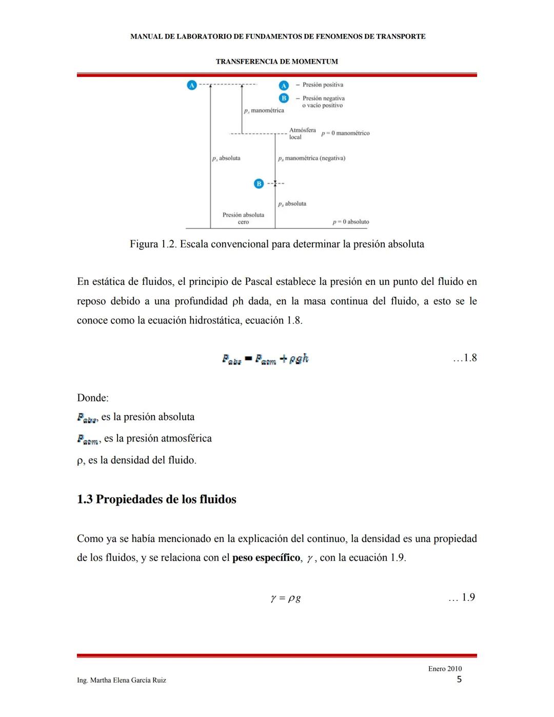 2010
MANUAL DE LABORATORIO DE FUNDAMENTOS
DE FENÓMENOS DE TRANSPORTE
INTRODUCCIÓN A LOS FENÓMENOS DE
TRANSPORTE
Ing. Martha Elena García Ruí