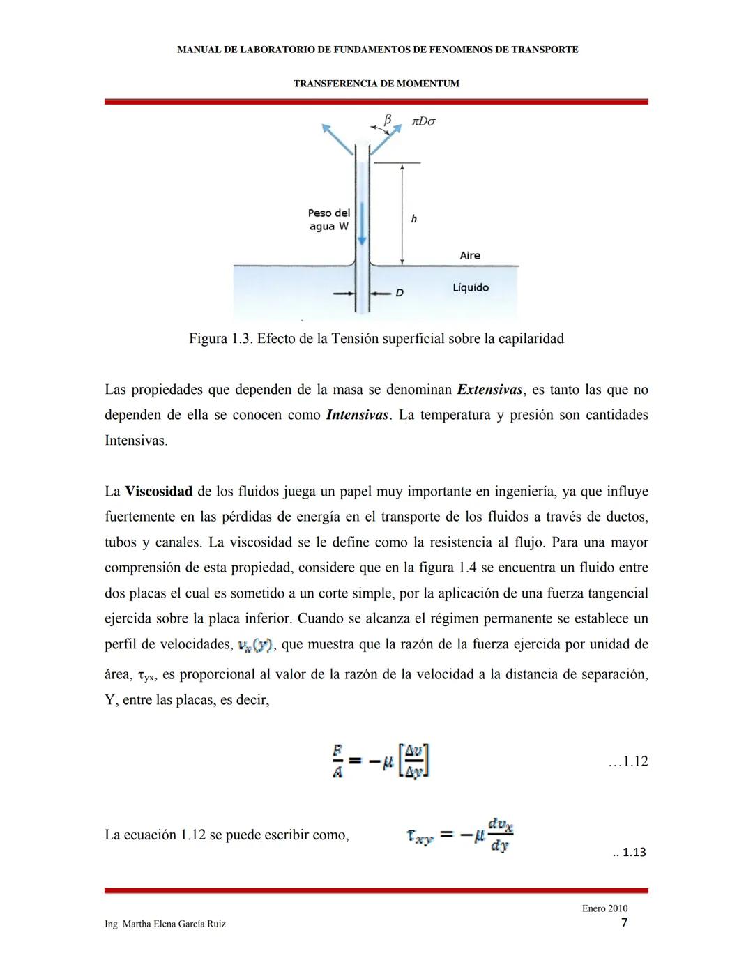 2010
MANUAL DE LABORATORIO DE FUNDAMENTOS
DE FENÓMENOS DE TRANSPORTE
INTRODUCCIÓN A LOS FENÓMENOS DE
TRANSPORTE
Ing. Martha Elena García Ruí