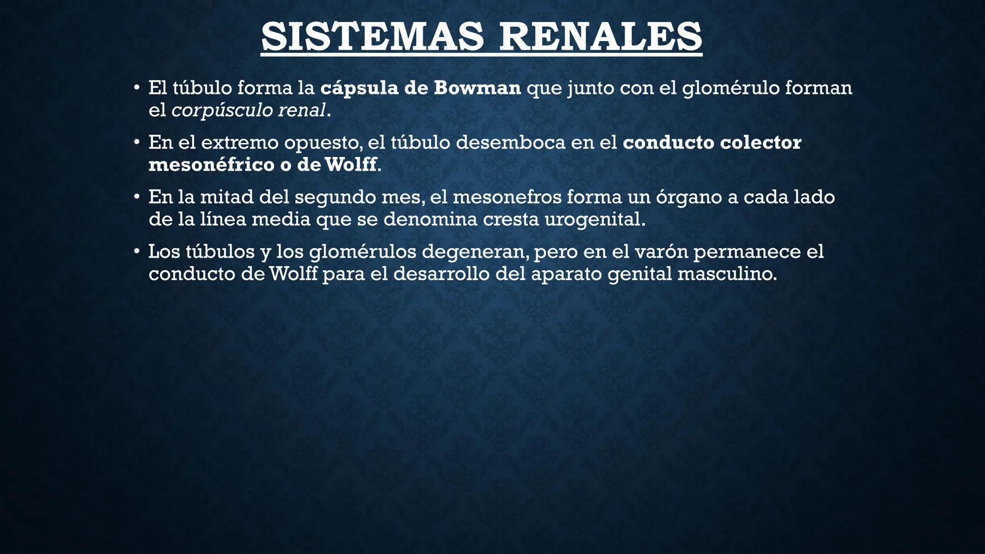 # ANATOMÍA Y FISIOLOGÍA
# RENAL
Dra. Lisek Herrera Utrera SISTEMA RENAL
•El aparato urinario o excretor es un
conjunto de órganos encargados