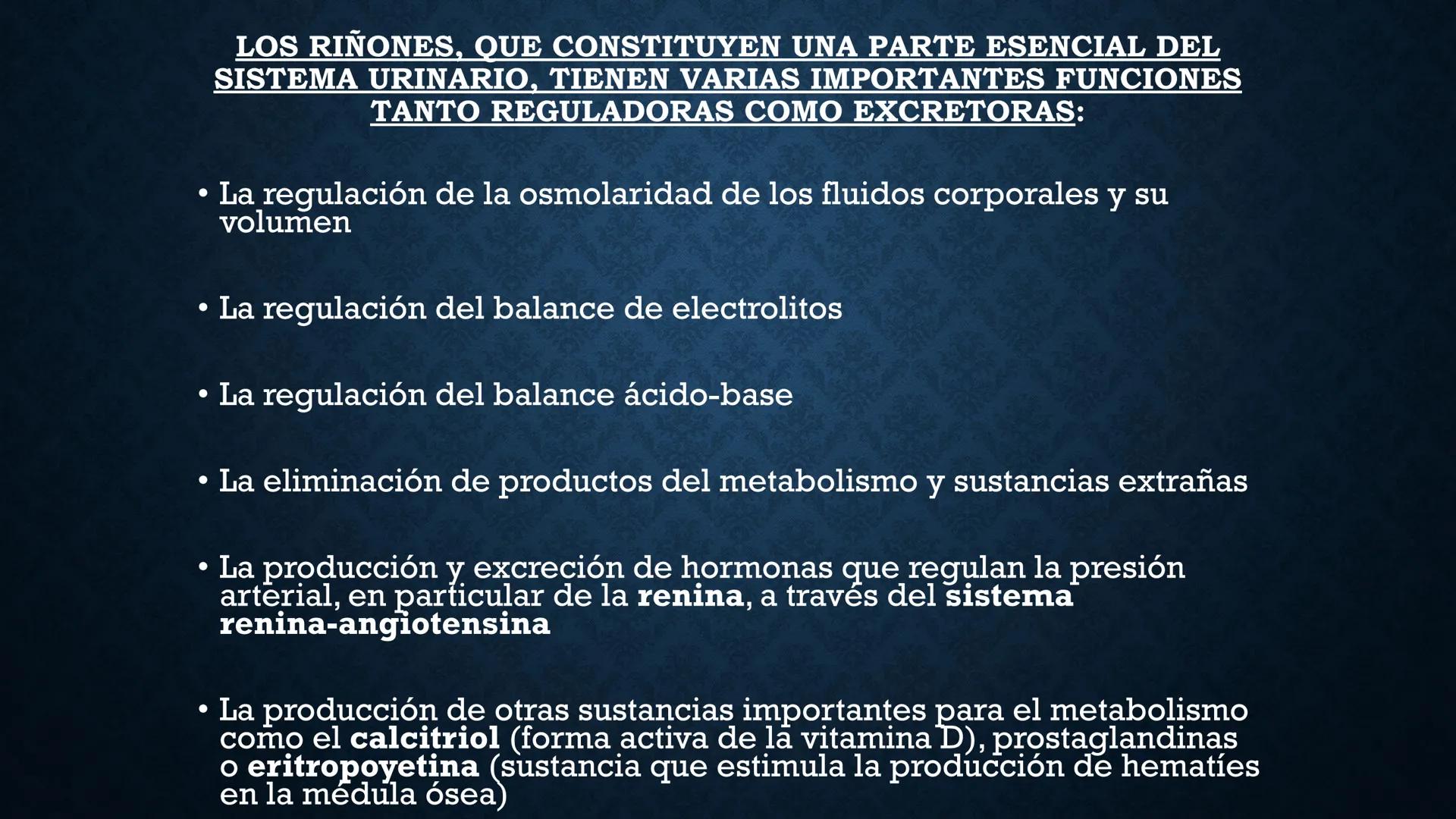 # ANATOMÍA Y FISIOLOGÍA
# RENAL
Dra. Lisek Herrera Utrera SISTEMA RENAL
•El aparato urinario o excretor es un
conjunto de órganos encargados