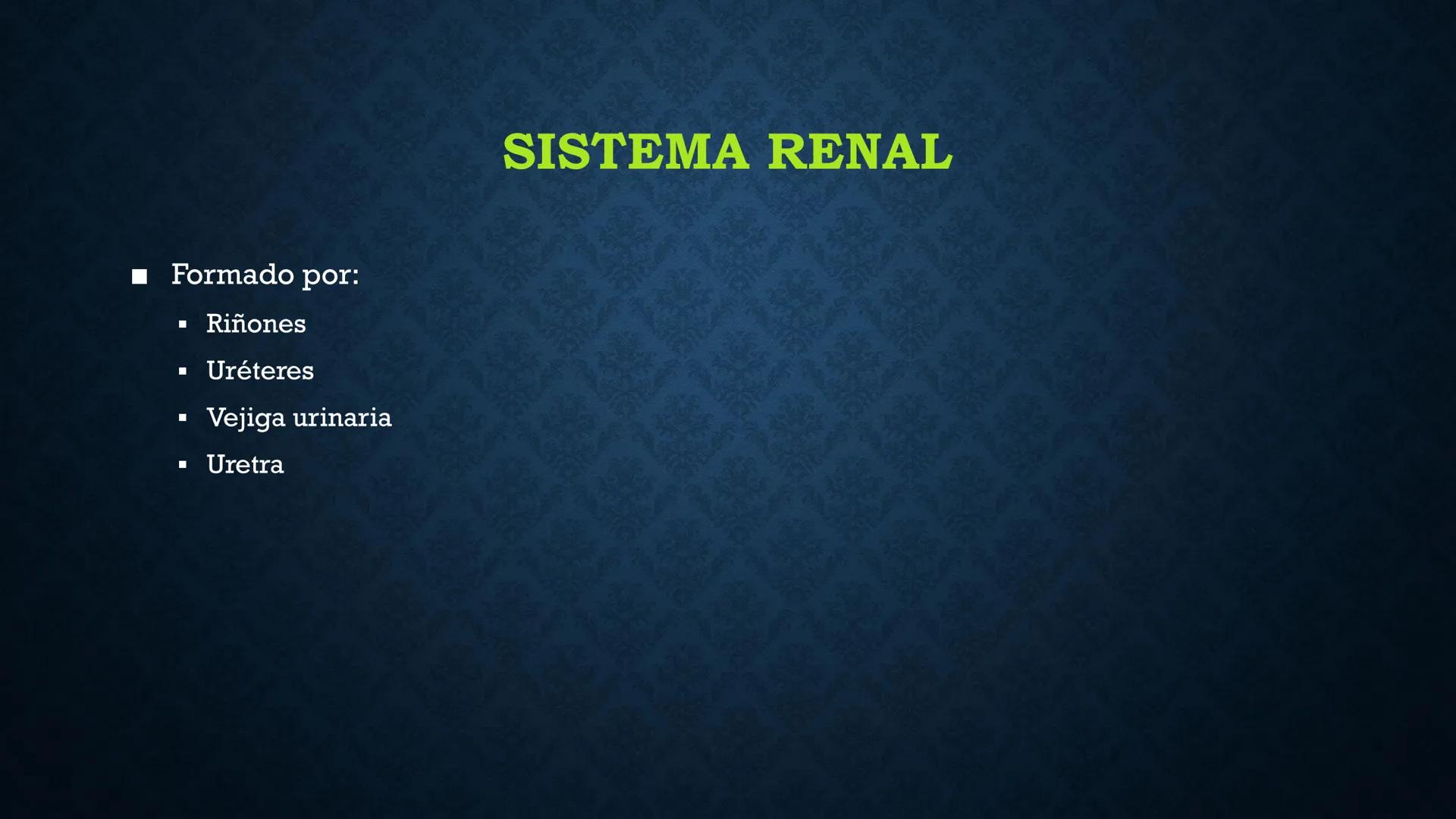# ANATOMÍA Y FISIOLOGÍA
# RENAL
Dra. Lisek Herrera Utrera SISTEMA RENAL
•El aparato urinario o excretor es un
conjunto de órganos encargados