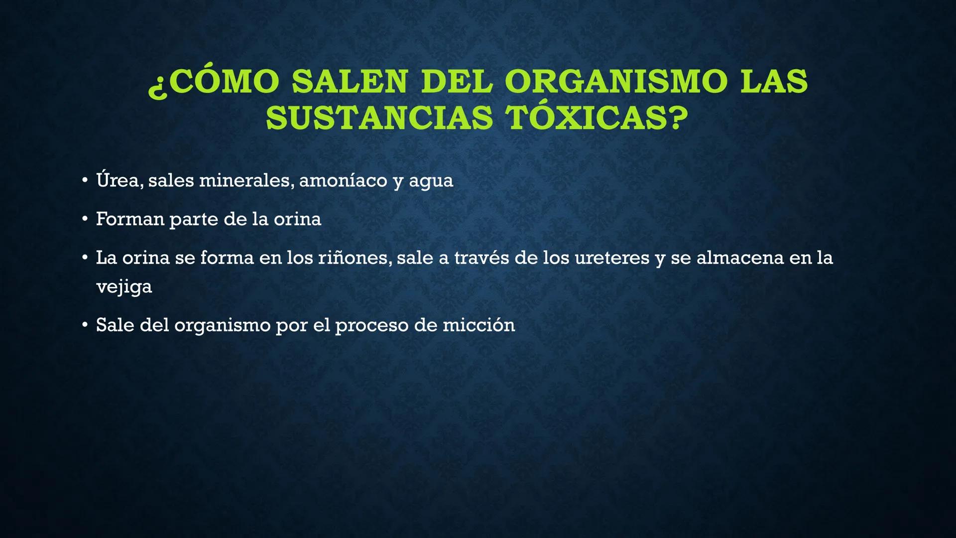 # ANATOMÍA Y FISIOLOGÍA
# RENAL
Dra. Lisek Herrera Utrera SISTEMA RENAL
•El aparato urinario o excretor es un
conjunto de órganos encargados