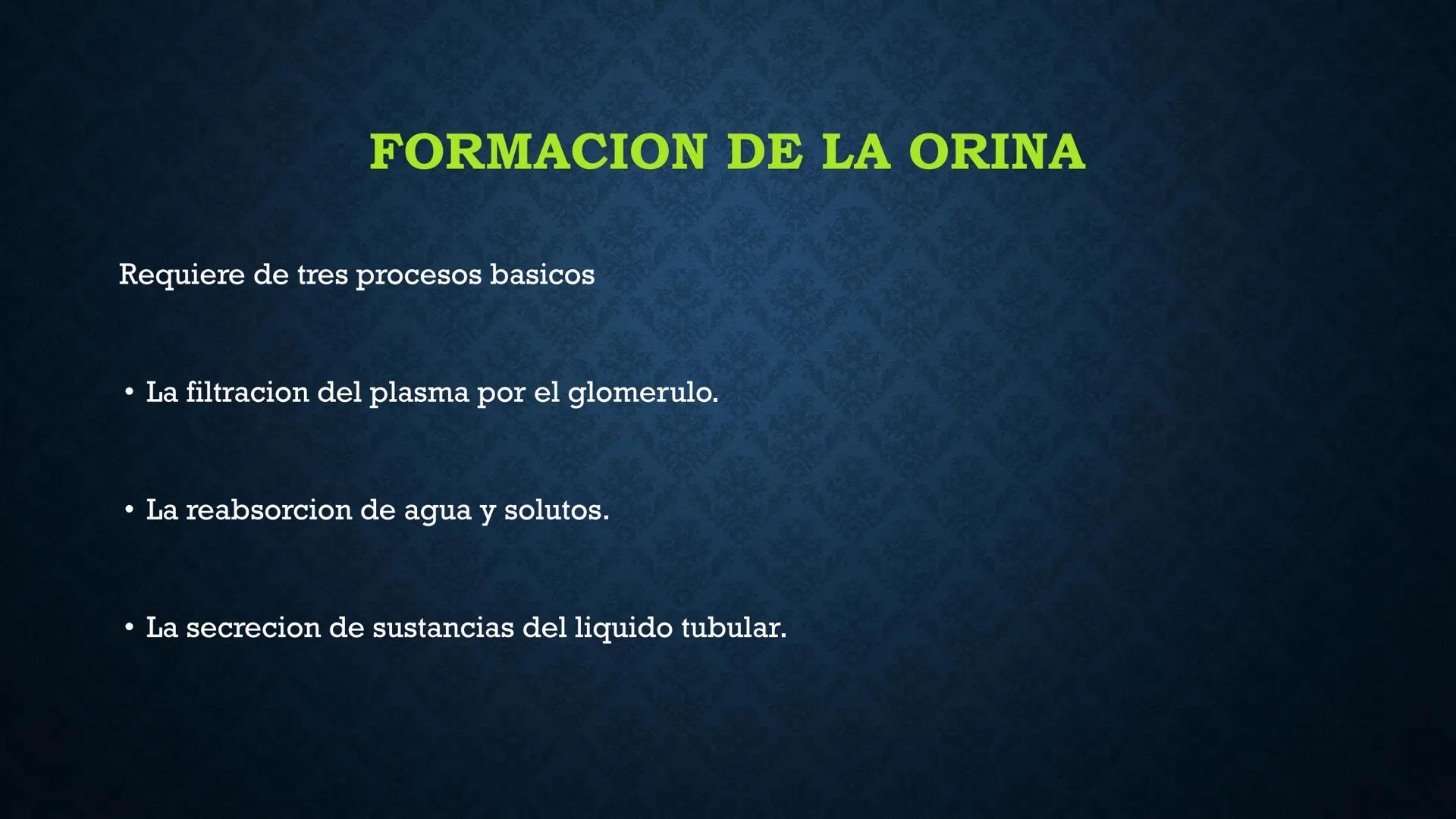 # ANATOMÍA Y FISIOLOGÍA
# RENAL
Dra. Lisek Herrera Utrera SISTEMA RENAL
•El aparato urinario o excretor es un
conjunto de órganos encargados