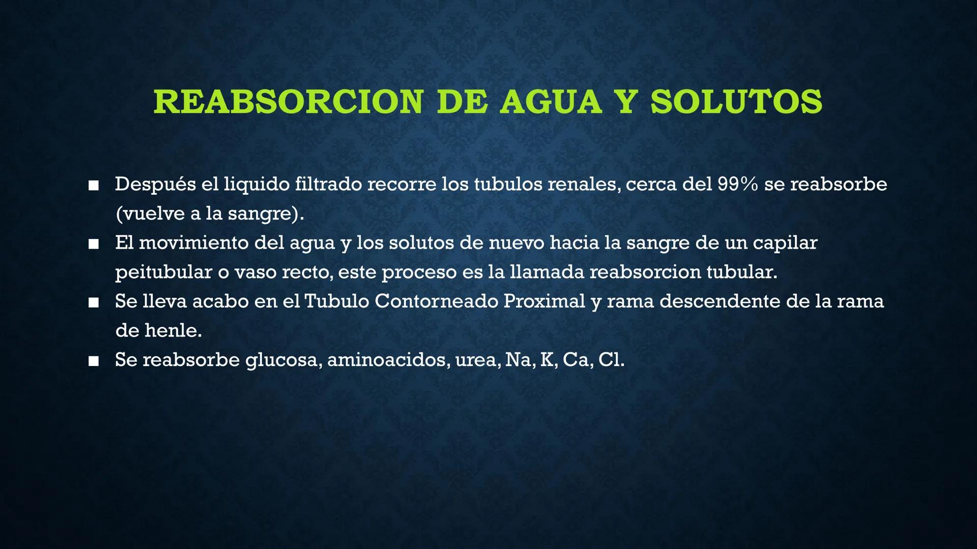 # ANATOMÍA Y FISIOLOGÍA
# RENAL
Dra. Lisek Herrera Utrera SISTEMA RENAL
•El aparato urinario o excretor es un
conjunto de órganos encargados