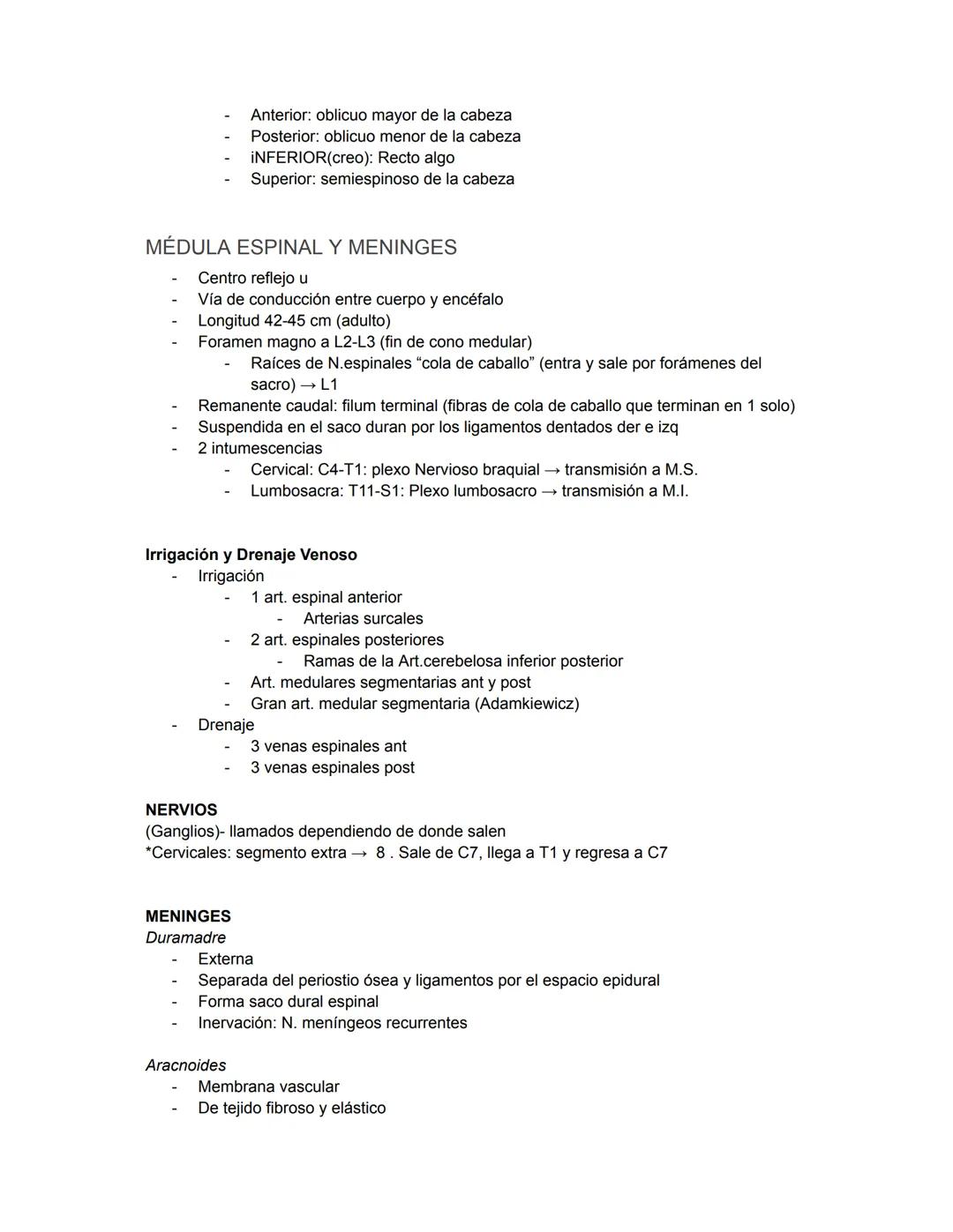 PARCIAL 1
Dorso/ tórax posterior
- Formado por: Parte posterior del tronco
- Cuello → Región glútea
- Columna vertebral y médula
- Función: