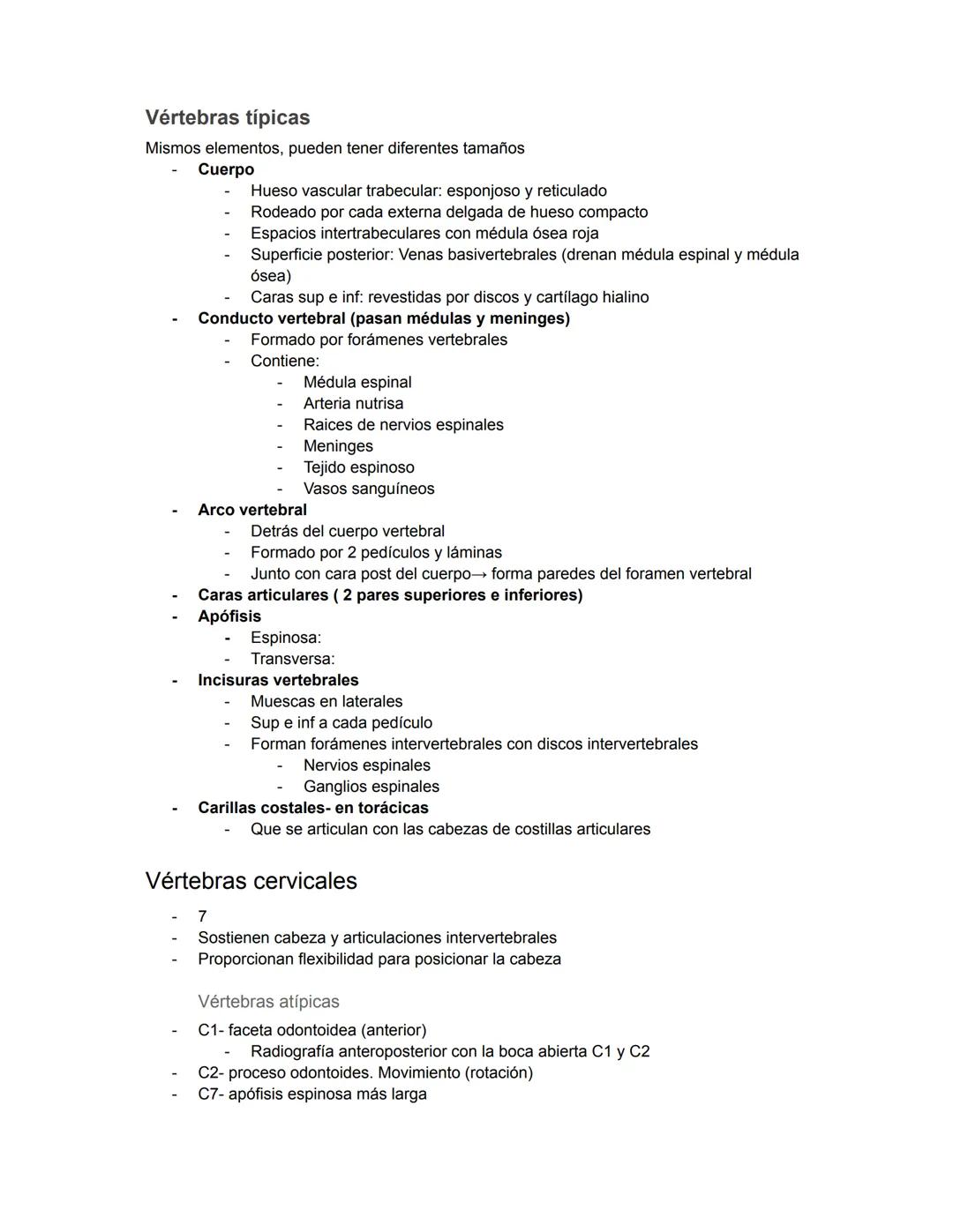 PARCIAL 1
Dorso/ tórax posterior
- Formado por: Parte posterior del tronco
- Cuello → Región glútea
- Columna vertebral y médula
- Función: