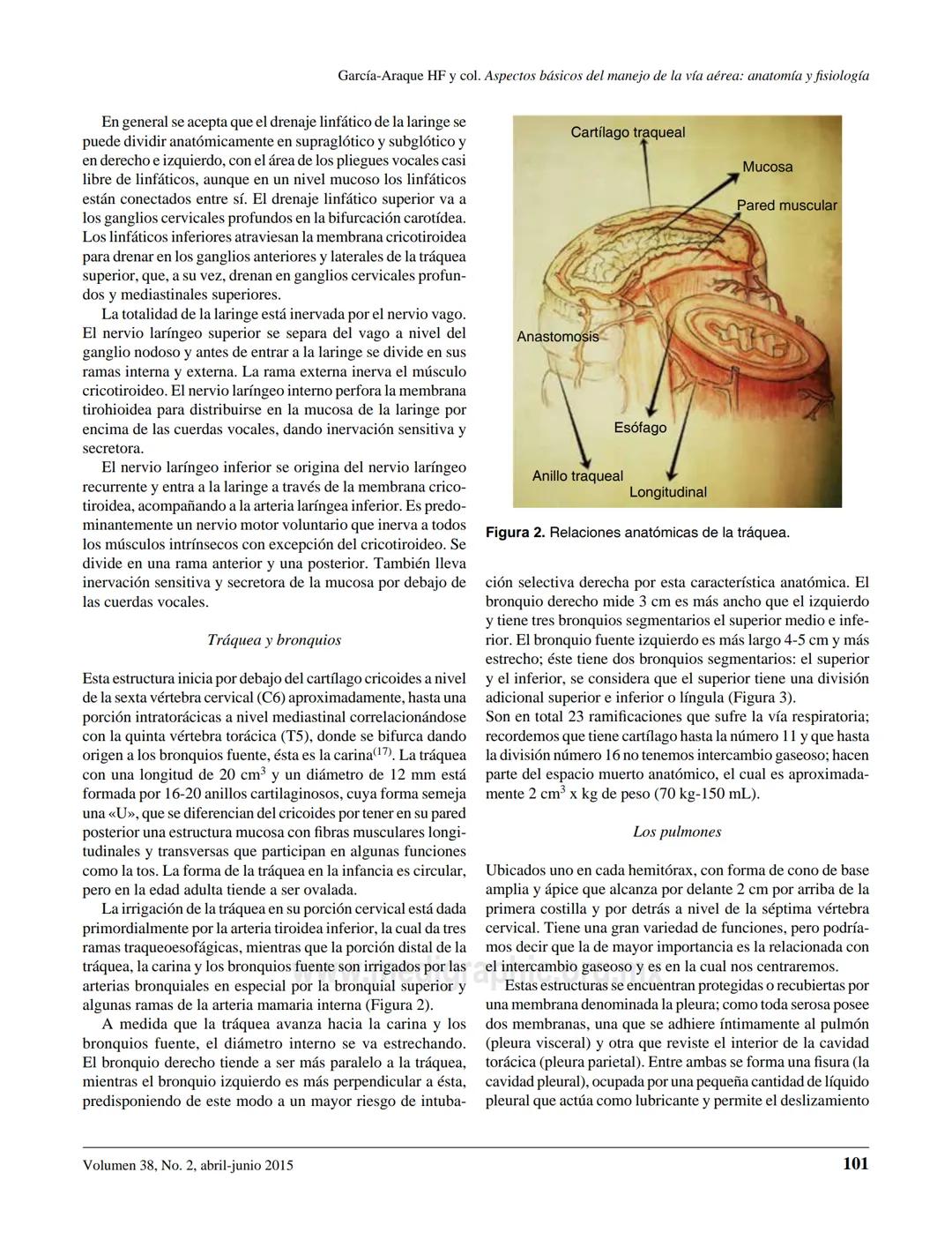 # Anestesiologia
www.medigraphic.org.mx
## ARTÍCULO DE REVISIÓN
Vol. 38. No. 2 Abril-Junio 2015
pp 98-107
# Aspectos básicos del manejo de