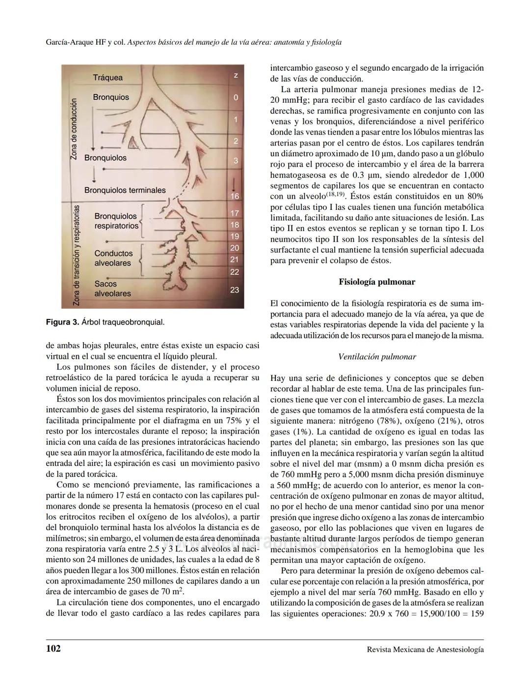 # Anestesiologia
www.medigraphic.org.mx
## ARTÍCULO DE REVISIÓN
Vol. 38. No. 2 Abril-Junio 2015
pp 98-107
# Aspectos básicos del manejo de