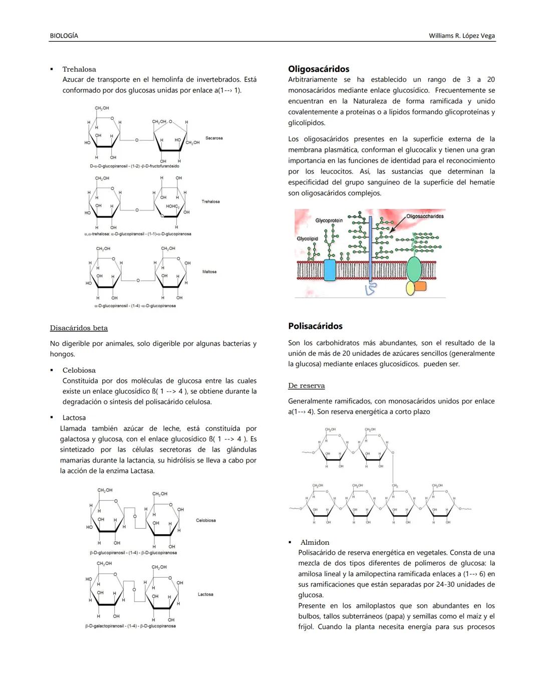 BIOLOGÍA
Williams R. López Vega
BIOQUÍMICA II
Disciplina estudia la composición química de los
organismos vivientes y sus transformaciones.