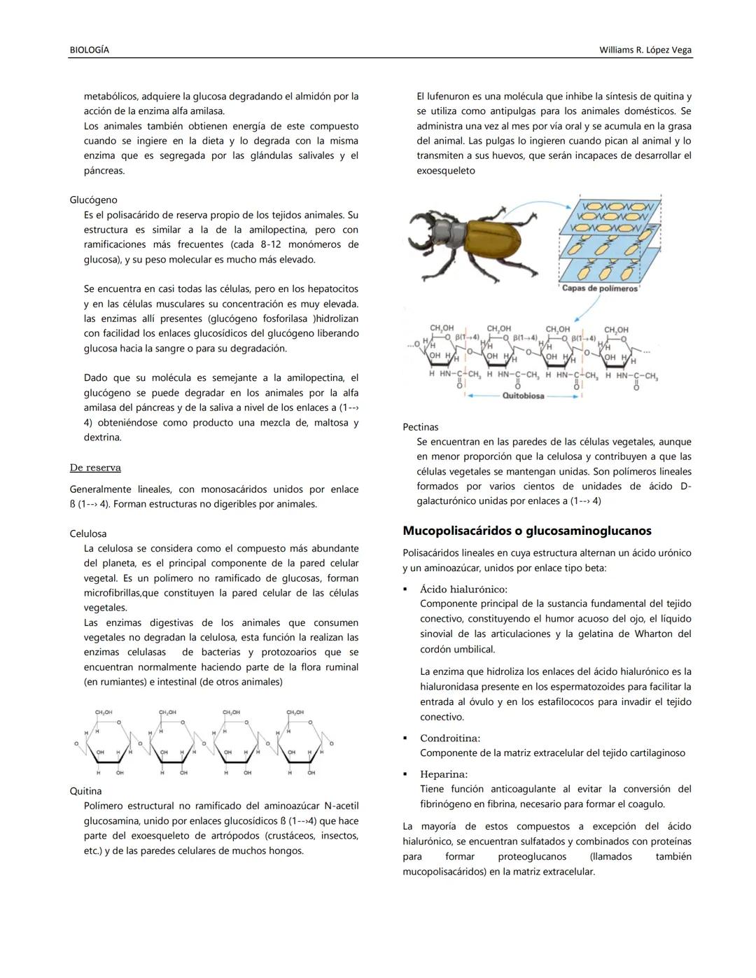 BIOLOGÍA
Williams R. López Vega
BIOQUÍMICA II
Disciplina estudia la composición química de los
organismos vivientes y sus transformaciones.